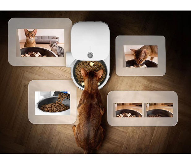 PetKit Yumshare SOLO 2 inteligentny dozownik karmy - 1606085 - zdjęcie 8